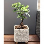 Keramični lonec Rustic 05.147- 14 cm